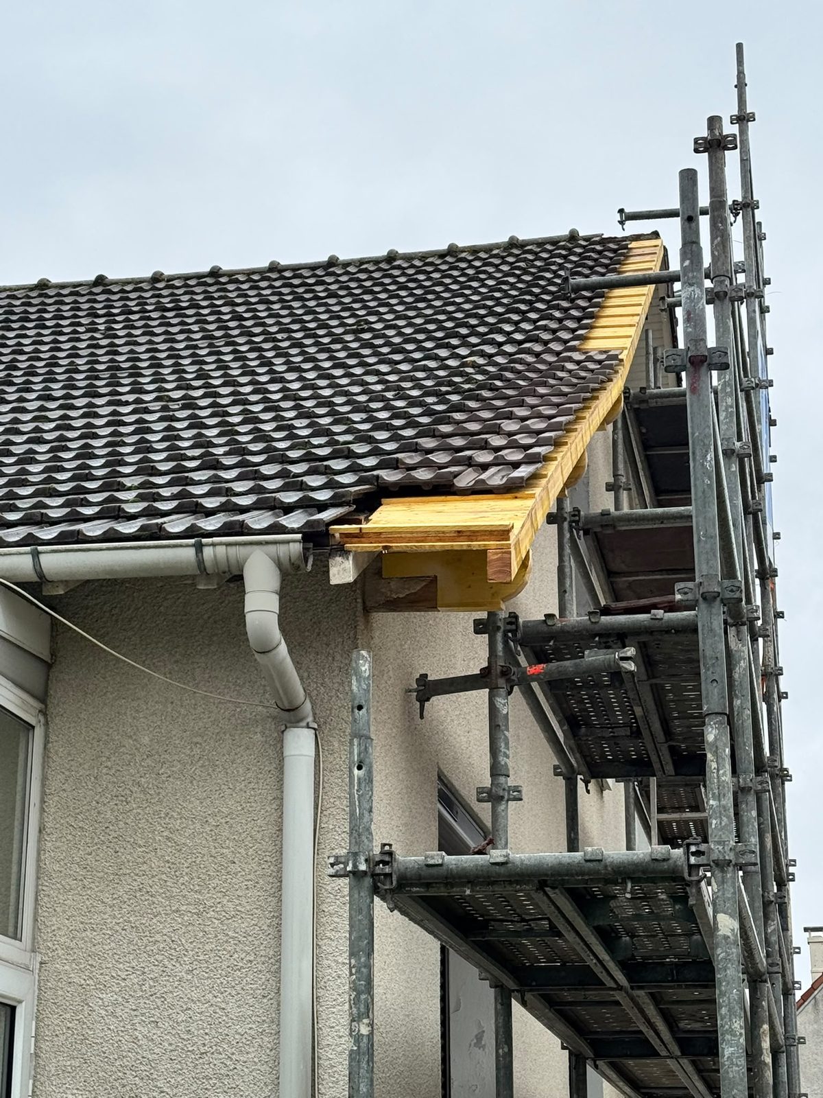 Rénovation & entretien de toiture dans la Loire